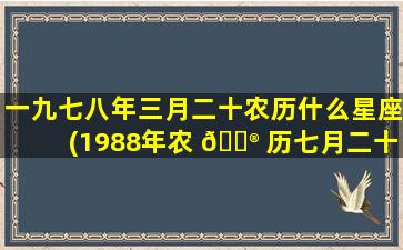一九七八年三月二十农历什么星座(1988年农 💮 历七月二十三是什么星座)